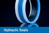 hydraulicSeals
