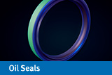 oilseals